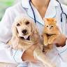Veterinary Clinic Beaupré Coast