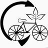 Cycles des Buis