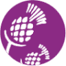 Cynara Cardunculus