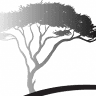 Cypress Accountancy