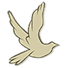 D & A Funeral Services Inc