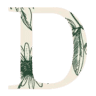 Daisy Studio