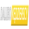 Dalubo Kędzierscy Kostka Brukowa Libet Ogrodzenia