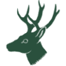 Dama Design