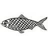 Damariscotta Mills Fish Restoration Ladder
