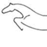Damascus Equine Associates