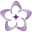 Damira Maycroft Dental Practice