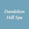 Dandelion Hill LLC