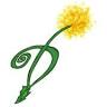Dandelion Eatery, LLC