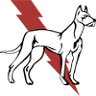 Dane & Associates Electric Co.