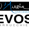 D'AURIA HAIR DESIGNER EVOS PARRUCCHIERI