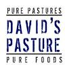 David's Pasture