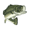 Daviess County Fish & Game