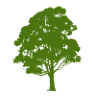 The Orchard