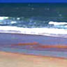 Sandy Shores Oasis