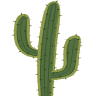 Desert Design Center