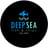Deep Sea Takeaways