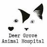 Deer Grove Animal Hospital