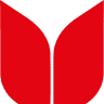 Tulpen Degenhardt