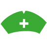 De Groene Zuster
