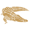 De Krokodil