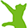 DAP De Leieband