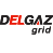 Delgaz Grid SA