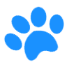 Delray Beach Animal Hospital - Veterinarian Delray Beach