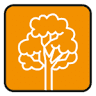 Meubelfabriek De Natris | Craftsmen in Wood