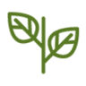 Den Haan planten export