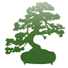Szkółka drzew i krzewów ozdobnych DENSIFLORA
