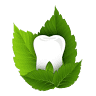 Dental Care Egypt - Dr. Tamer Badr