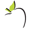 Dental Group Ltd.