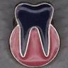 Gallozzi Dr. Sandro - Medico Chirurgo Dentista