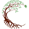 Premier Novi Dentistry