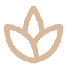 DESIRÉE Brautstyling-Beauty-Massage