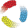 DFL Colors