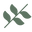 Diameter Plants