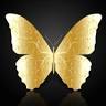 Diana Whitten - Biomagnetic Pair Therapy
