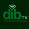 Dib TV1