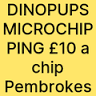 DINOPUPS Microchipping