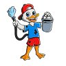 Dirty Burd Detailing