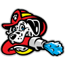 Dirty Dog's Car Wash Kennesaw