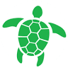 The Dirty Turtle