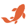 Discount Koi