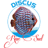 Discus Rive Sud