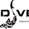 Dive X Riviera Maya Dive Shop