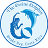 The Divine Dolphin
