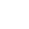 DLeon Auto Import LLC