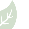 Ungekollegiet under Den Miljøterapeutiske Organisation